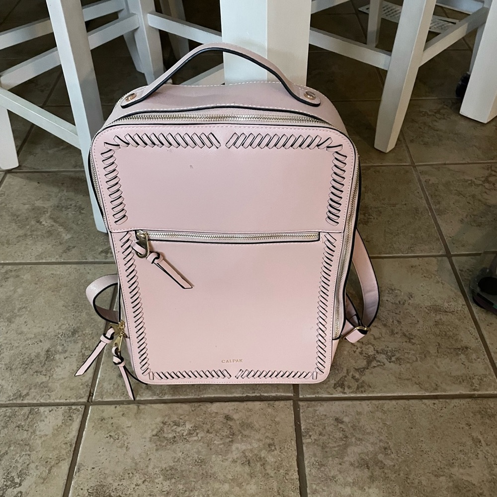 Calpak back back in perfect condition